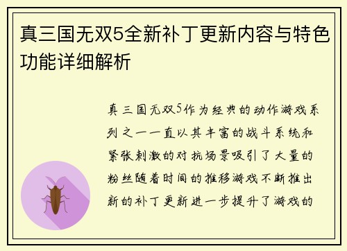 真三国无双5全新补丁更新内容与特色功能详细解析